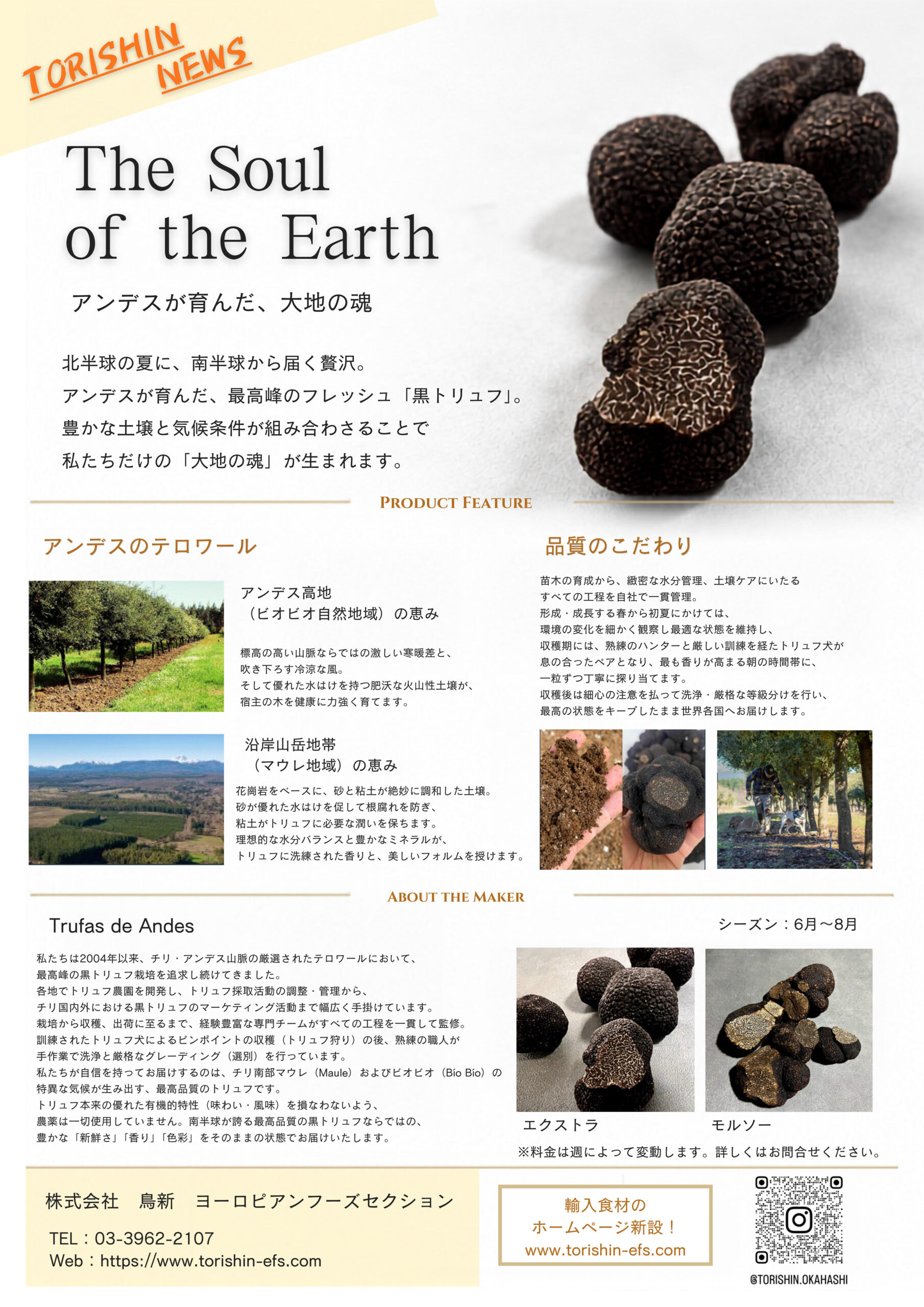 グローバル・トリュフ社 TRUFAS DE LOS ANDES